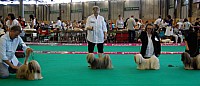 DSC_4911.jpg DSC_4911.jpg