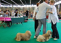 DSC_4914.jpg DSC_4914.jpg