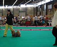 DSC_4915.jpg DSC_4915.jpg