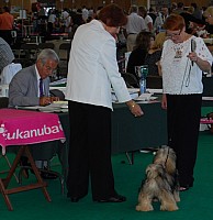 DSC_4927.jpg DSC_4927.jpg