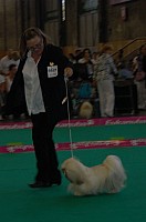 DSC_4928.jpg DSC_4928.jpg