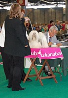 DSC_4929.jpg DSC_4929.jpg