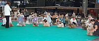 DSC_4931.jpg DSC_4931.jpg