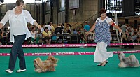 DSC_4932.jpg DSC_4932.jpg