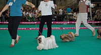 DSC_4933.jpg DSC_4933.jpg