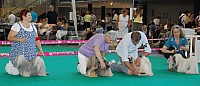 DSC_4936.jpg DSC_4936.jpg