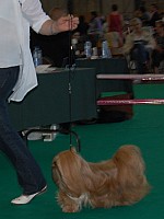 DSC_4940.jpg DSC_4940.jpg