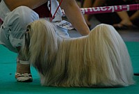 DSC_4948.jpg DSC_4948.jpg