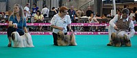 DSC_4953.jpg DSC_4953.jpg