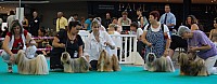 DSC_4955.jpg DSC_4955.jpg