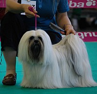 DSC_4956.jpg DSC_4956.jpg