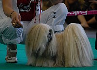 DSC_4959.jpg DSC_4959.jpg