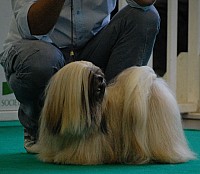 DSC_4964.jpg DSC_4964.jpg