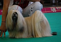DSC_4965.jpg DSC_4965.jpg