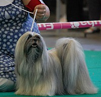 DSC_4967.jpg DSC_4967.jpg
