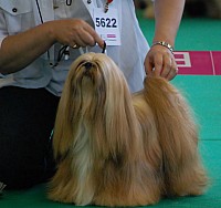 DSC_4969.jpg DSC_4969.jpg