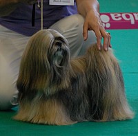 DSC_4970.jpg DSC_4970.jpg