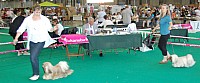 DSC_4999.jpg DSC_4999.jpg