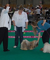 DSC_5001.jpg DSC_5001.jpg