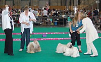 DSC_5002.jpg DSC_5002.jpg