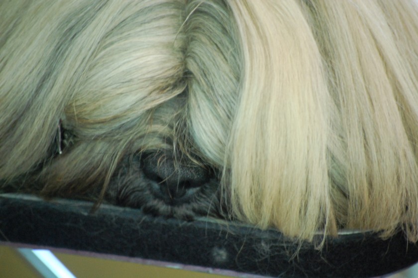 DSC_3892.jpg