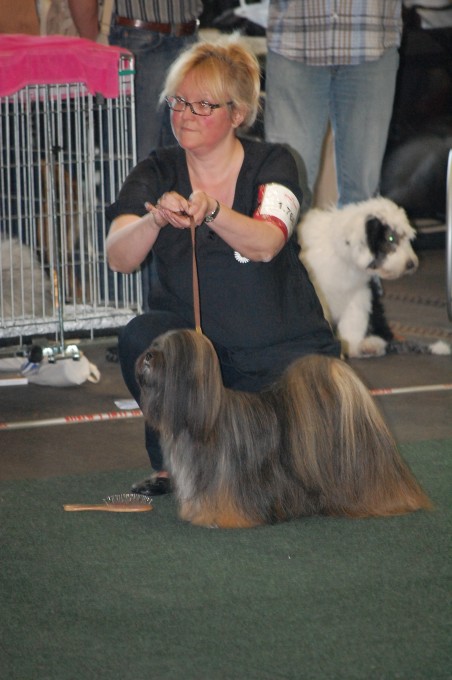 DSC_3986.jpg