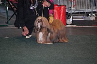 DSC_3958.jpg