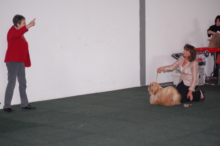 DSC_5365.jpg