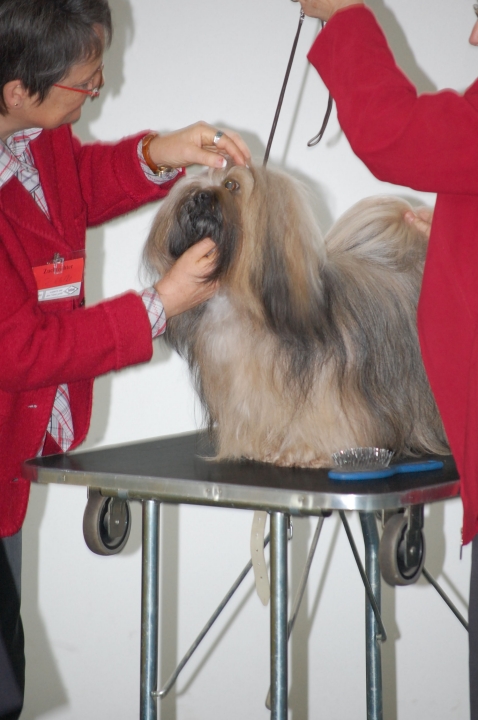 DSC_5391.jpg