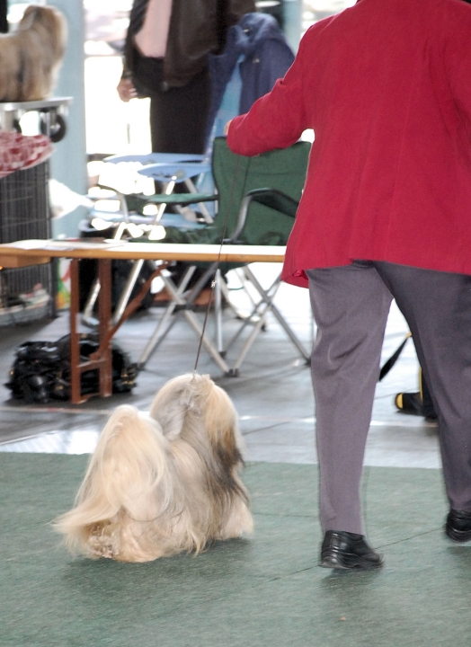 DSC_5397.jpg