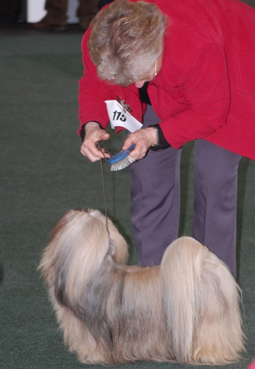 DSC_5398.jpg
