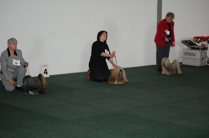 DSC_5399.jpg