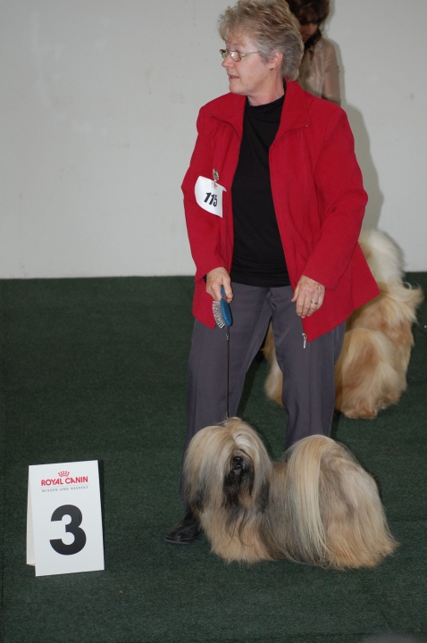 DSC_5405.jpg