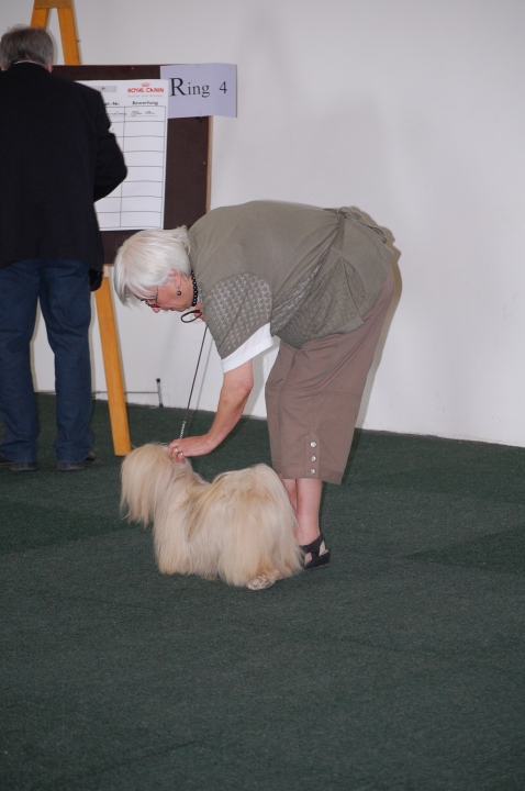 DSC_5445.jpg