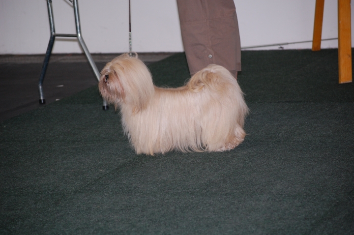 DSC_5452.jpg