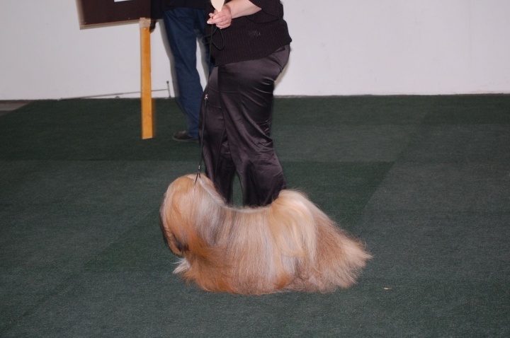DSC_5457.jpg