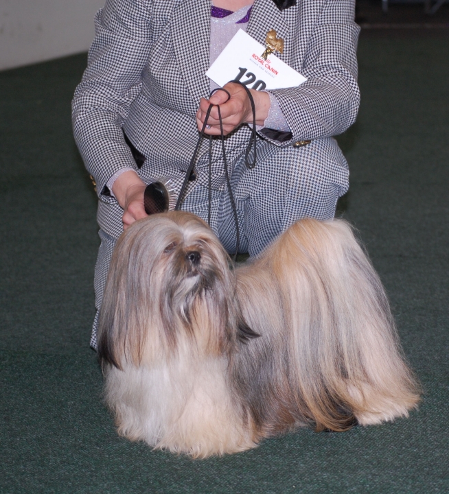 DSC_5466.jpg