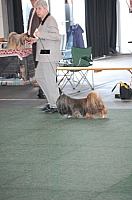 DSC_5381.jpg