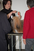DSC_5382.jpg