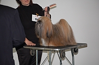 DSC_5383.jpg