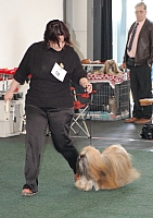 DSC_5388.jpg