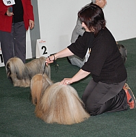 DSC_5389.jpg