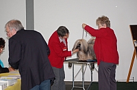 DSC_5390.jpg