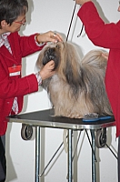 DSC_5391.jpg