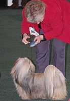 DSC_5398.jpg