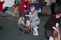 DSC_5400.jpg