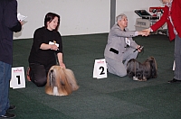 DSC_5401.jpg