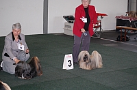 DSC_5402.jpg