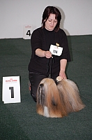 DSC_5403.jpg