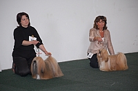 DSC_5407.jpg
